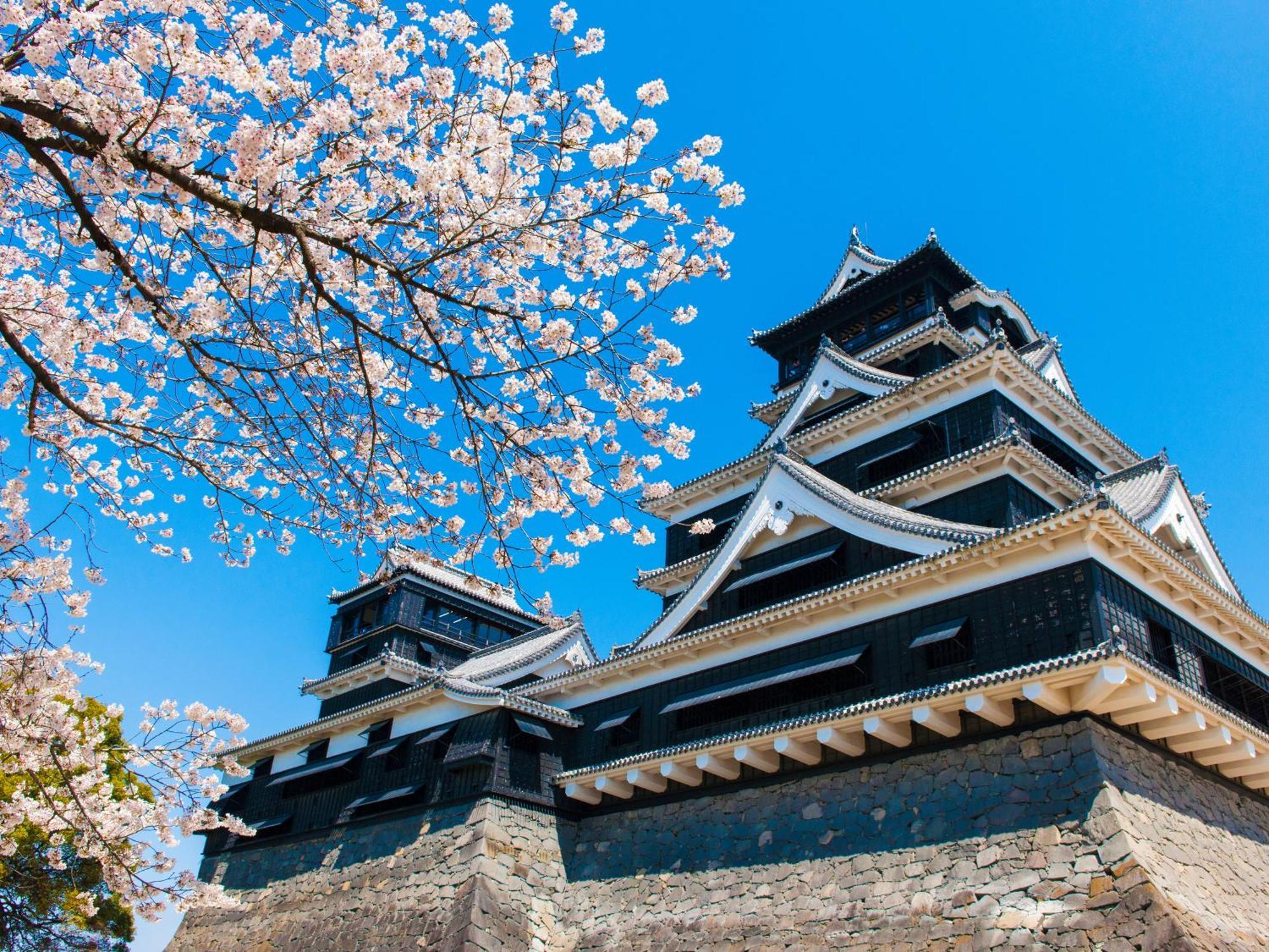 Kumamoto Hotel Castle Buitenkant foto